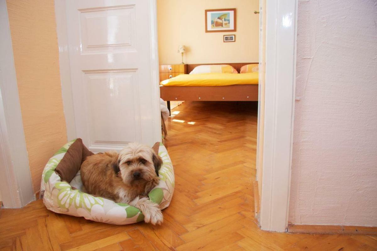 Abeona Mediterranean Villa Drivenik Dış mekan fotoğraf