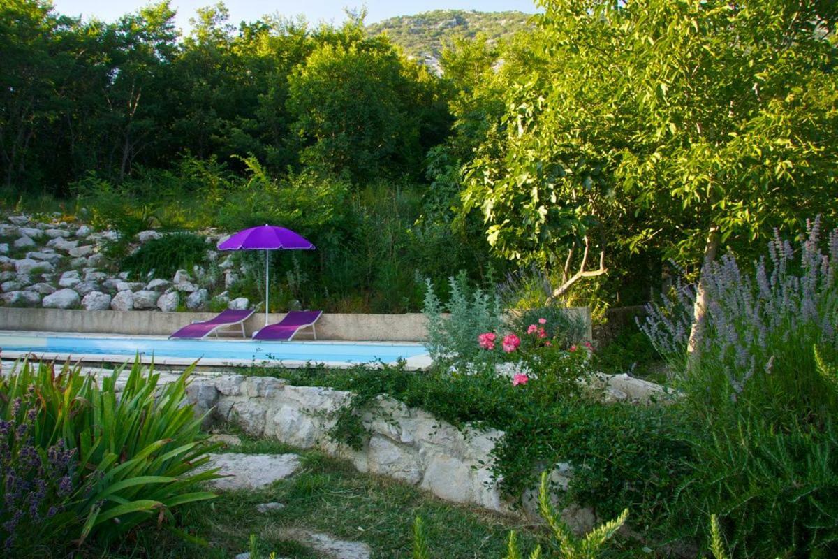 Abeona Mediterranean Villa Drivenik Dış mekan fotoğraf