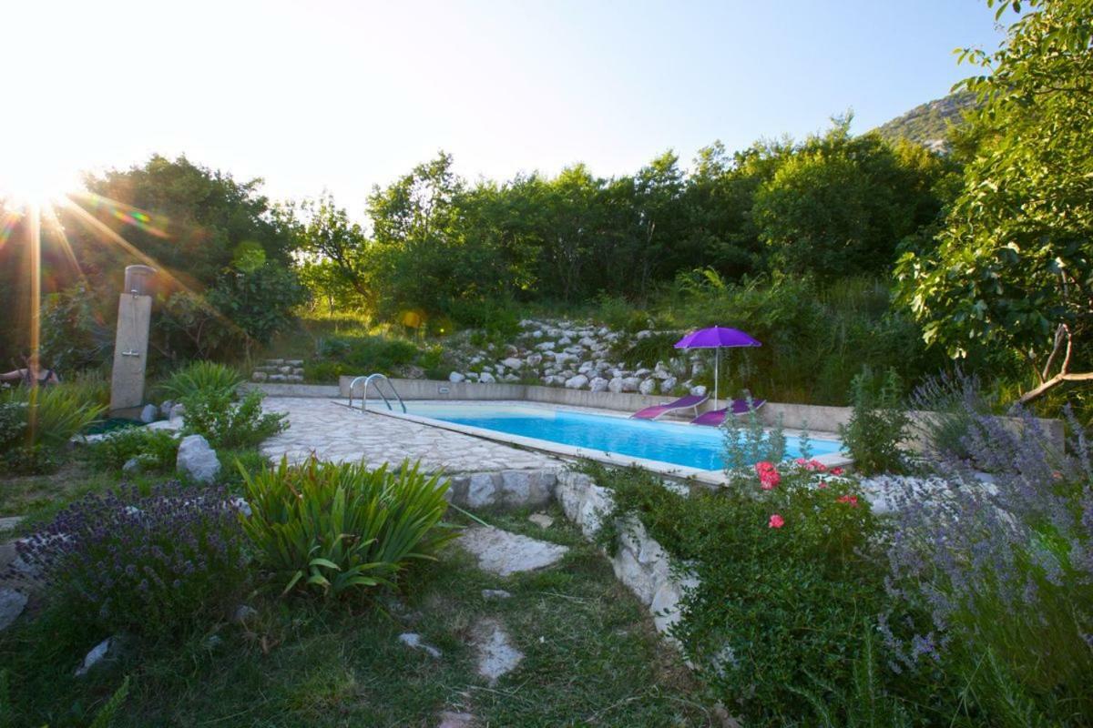 Abeona Mediterranean Villa Drivenik Dış mekan fotoğraf